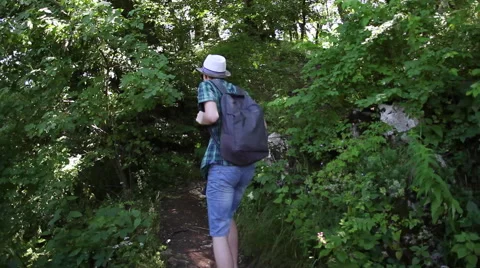 Man hiker in mountain forest, young tourist with backpack Stock Footage 40534967