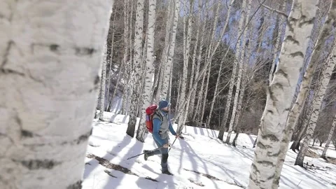 Man hiker with red backpack in winter mountains Stock Footage 171000096