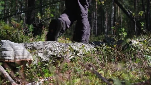 Man hiker with steps over fallen log during a hike in the wild forest. closeup. Stock Footage 195204612