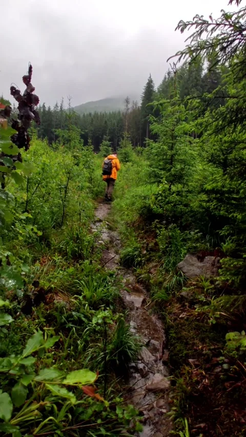 Man hiker walking by forest path trail carpathian mountains on background Stock Footage 158914907