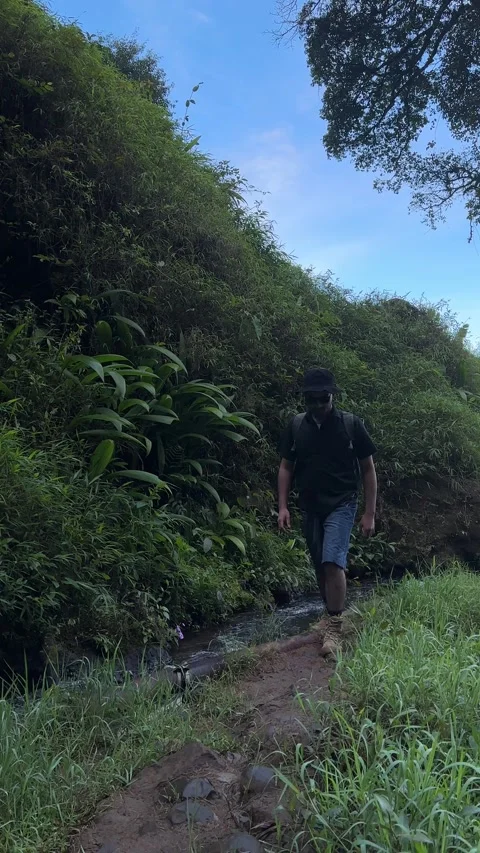 Man Hiker Walking on Muddy Forest Path Near Stream Vertical Stock Footage 323909178