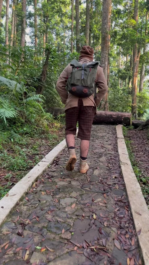 Man Hiker Walking on Stone Path and Stepping Over Log in Forest, Vertical Stock Footage 321103964