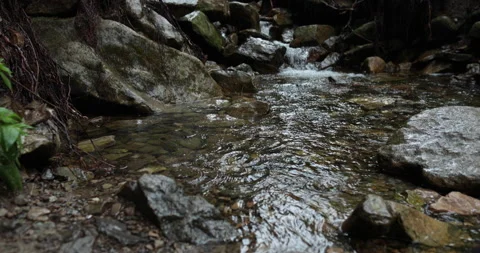 A man hiker walks through a mountain stream in the forest Stock Footage 243722490