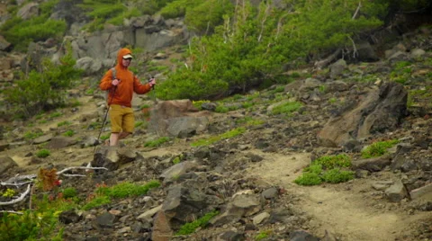 Man hikers through brush Stock Footage 59519439