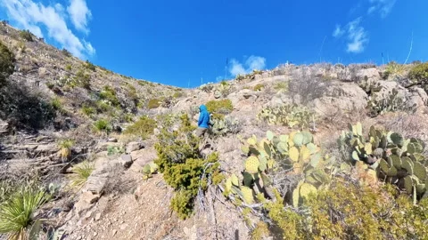 Man Hikes Around Bend in Switchback on Winter Day in Guadalupe Mountains 스톡 동영상 320357919
