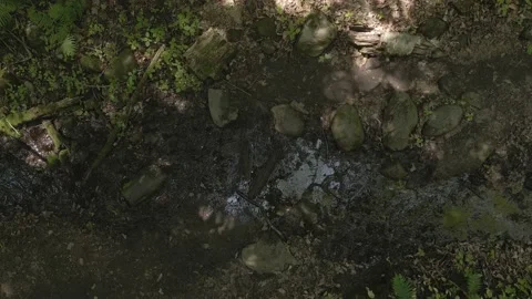 Man Hikes over Stream on Slippery Stones Stock Footage 196041775