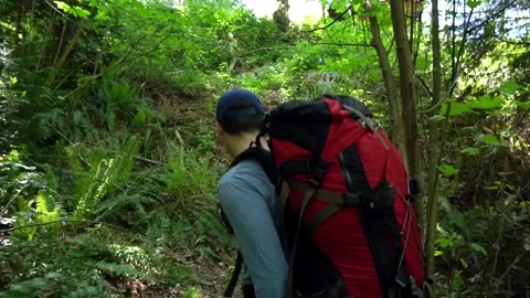 Man Hikes through Forest Normal Speed Stock Footage 248098680