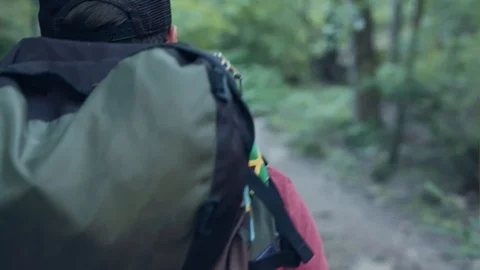 A Man Hikes Through A Forest Wearing A Backpack And A Cap Stock Footage 87425889