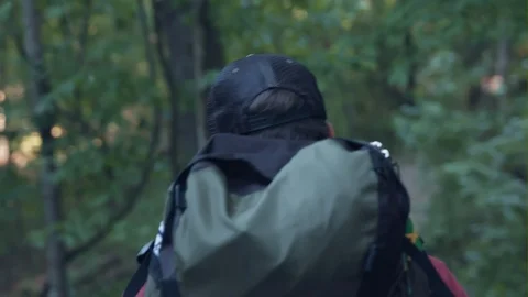 A Man Hikes Through A Forest Wearing A Backpack And A Cap Stock Footage 87425913