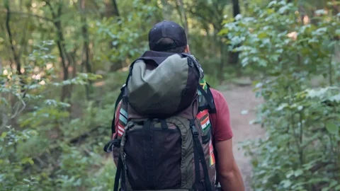 A Man Hikes Through A Forest Wearing A Backpack And A Cap Stock Footage 87426087