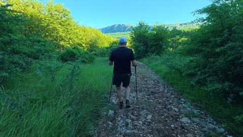Man hikes through green forested trail. Kozji Kamen hiking path, Serbia Stockbeeldmateriaal 342341657