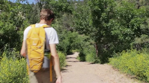 Man Hikes Through Pine Forest Stock Footage 47745266