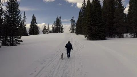 Man hikes uphill in the snow with small dog on a mountaintop Stock Footage 128673544