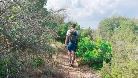 Man Hiking Alone on Mountain Trail Through Forest, Tracking Shot Stock Footage 338007307