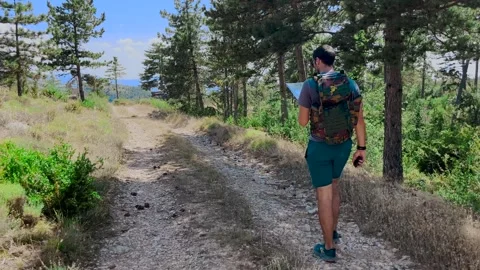 Man Hiking Alone on Mountain Trail Through Forest, Tracking Shot Stock Footage 338007320