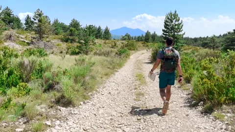 Man Hiking Alone on Mountain Trail, Ground Level View Tracking Shot Stock Footage 338007407