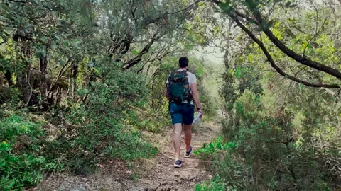 Man Hiking Alone Through Forest Track, Tracking Shot Stock Footage 338007341