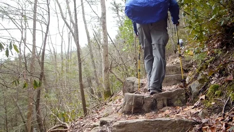 Man Hiking Appalachian Trail in Slow Motion Stock Footage