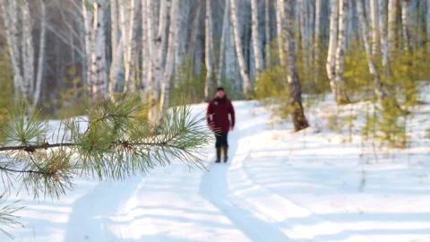 A man with a hiking backpack walks through a winter forest. Stock Footage 298827944