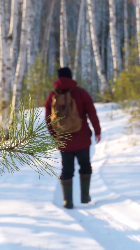 A man with a hiking backpack walks through a winter forest. Healthy lifestyle. Stock Footage 313856206