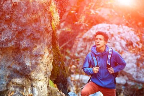 Man hiking in beautiful forest Stock Photos
