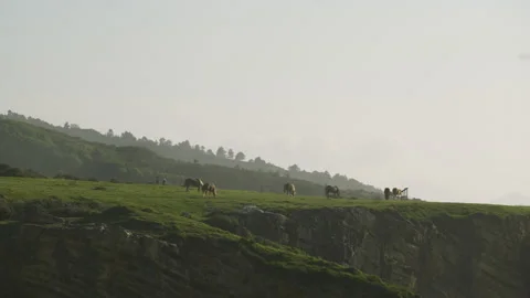 Man hiking close to big cliffs and heavy ocean in Basque Coast, Spain Video stock 154776175