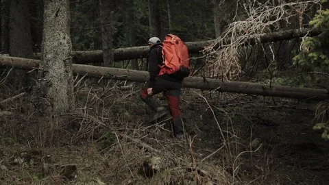 Man hiking in dense forest with big backpack. Outdoor adventure Stock Footage 192833715