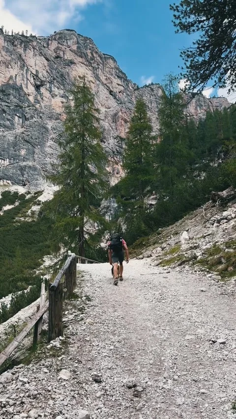 Man Hiking with Dog with Pico de Velandro View. Stock Footage 330120942