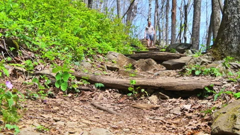 Man hiking down Wintergreen ski resort forest footpath Highlands leisure trail Stock Footage 311305802