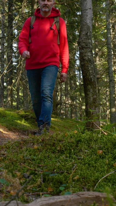 Man hiking downhill through dense forest trail 库存影片 334386739