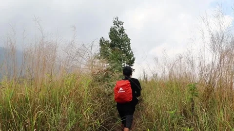 Man Hiking with Eiger Backpack Through Tall Grass Stock Footage 318471687