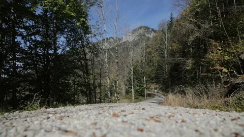 Man hiking Stock Footage 101543351