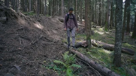 Man hiking in the forest with backpack Видео 82704247