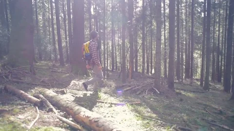 Man hiking in the forest with backpack Stock Footage 82704320