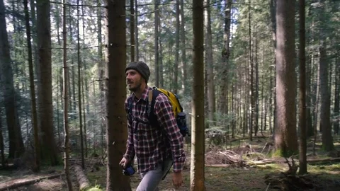 Man hiking in the forest with backpack 库存影片 82704329