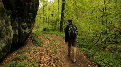 Man hiking in the forest Stock Footage 39383283