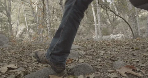 Man is hiking in the forest Stock Footage 119407370