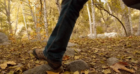 Man is hiking in the forest Stock Footage 119407768