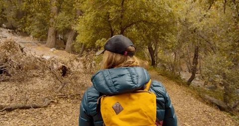 Man is hiking in the forest Stock Footage 119408182