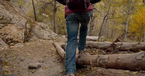 Man is hiking in the forest Stock Footage 119408212