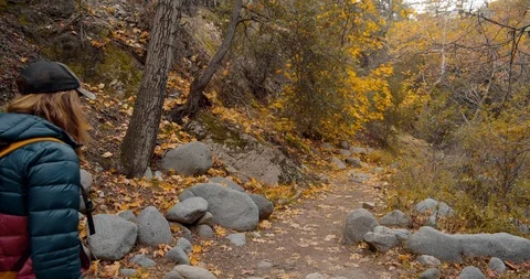 Man is hiking in the forest Stock Footage 119409190