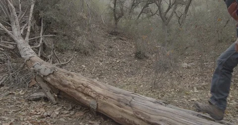 Man is hiking in the forest Stock Footage 119409440