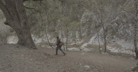 Man is hiking in the forest Stock Footage 119409569
