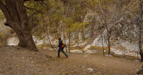 Man is hiking in the forest Stock Footage 119409597