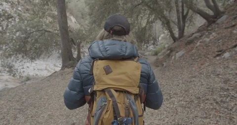 Man is hiking in the forest Stock Footage 119410036