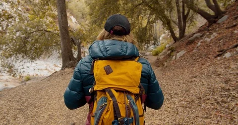 Man is hiking in the forest Stock Footage 119410387