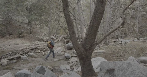 Man is hiking in the forest Stock Footage 119410817
