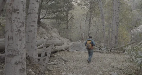 Man is hiking in the forest Stock Footage 119410839