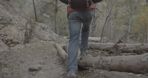 Man is hiking in the forest Stock Footage 119410964