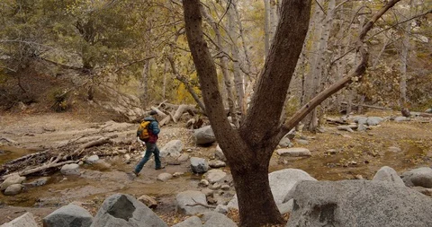 Man is hiking in the forest Stock Footage 119411169